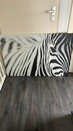 Zebra canvas, Zo goed als nieuw, Ophalen