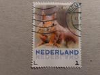 Nederland - Eekhoorn, Ophalen of Verzenden