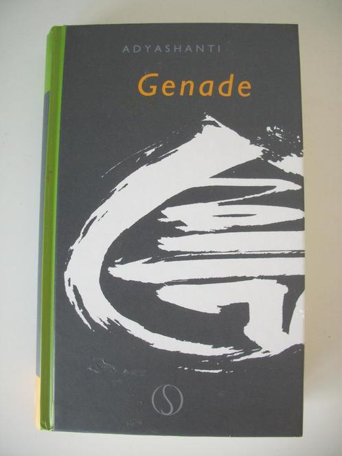 Genade - Adyashanti - Spiritueel - gebonden, Boeken, Esoterie en Spiritualiteit, Zo goed als nieuw, Achtergrond en Informatie