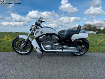 HARLEY-DAVIDSON V-ROD MUSCLE VRSCF Vance & Hines (bj 2014)