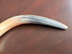 Longhorn Hoorn • 50cm • Decoratie, Ophalen of Verzenden