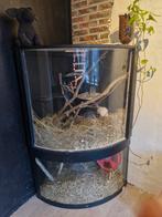 Juwel aquarium, Dieren en Toebehoren, Ophalen, Zo goed als nieuw, Leeg aquarium