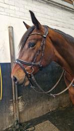 Ps of Sweden jump off bridle, Dieren en Toebehoren, Paarden en Pony's | Hoofdstellen en Tuigage, Ophalen of Verzenden, Zo goed als nieuw