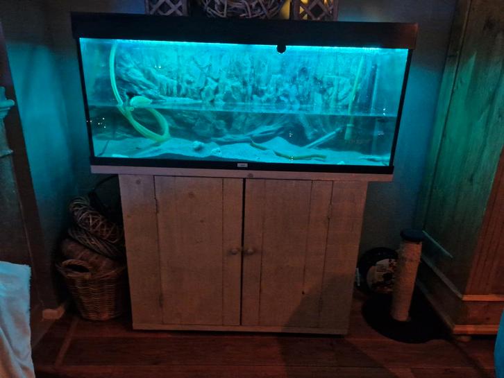 Juwel 240 aquarium met rots achterwand, Dieren en Toebehoren, Vissen | Aquaria en Toebehoren, Leeg aquarium, Ophalen