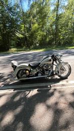 Harley davidson heritage softail mexican, Motoren, Chopper, Particulier, Meer dan 35 kW, 1450 cc
