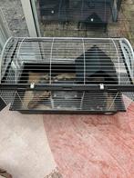 Cavia/hamsterkooi, Kooi, Gebruikt, 75 tot 110 cm, Cavia