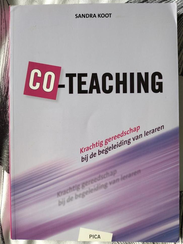 Sandra Koot - Co-teaching, Boeken, Wetenschap, Zo goed als nieuw, Sociale wetenschap, Ophalen of Verzenden