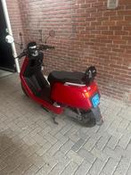 Snor scooter NIU N 1S, Fietsen en Brommers, Snorfietsen en Snorscooters, Elektrisch, Zo goed als nieuw, Ophalen, Overige merken