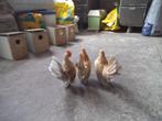 serama trio, Dieren en Toebehoren, Pluimvee, Meerdere dieren, Kip