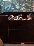 werpkist te huur, Ophalen