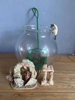 Viskom, Dieren en Toebehoren, Ophalen, Plant(en), Steen of Hout