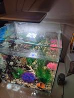 Superfish aquarium gebruikt zonder inhoud, Dieren en Toebehoren, Vissen | Aquaria en Toebehoren, Ophalen of Verzenden, Gebruikt