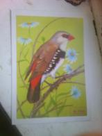 Borduurkaart RICE, Hobby en Vrije tijd, Borduren en Borduurmachines, Ophalen of Verzenden, Patroon