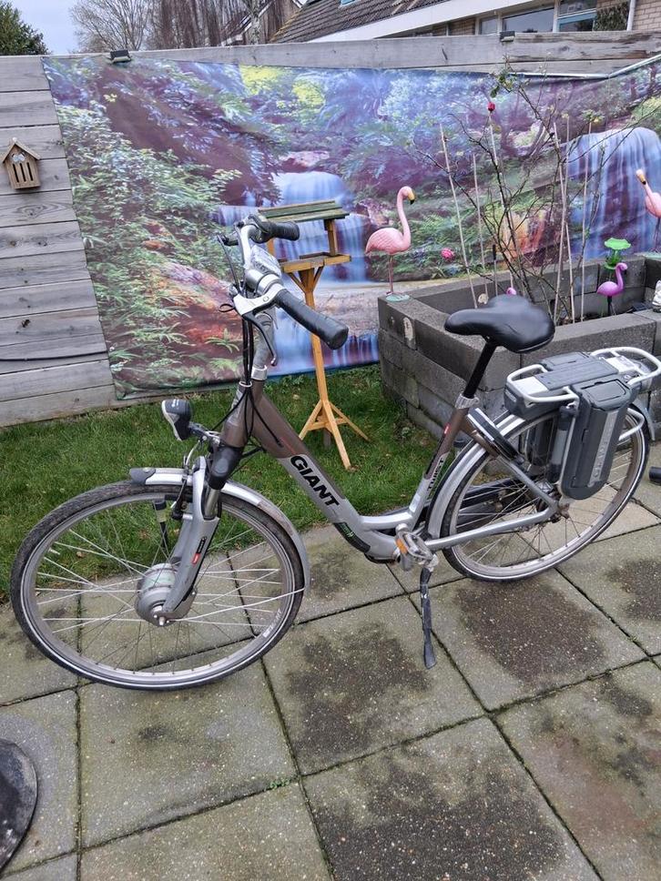 Giant twist met dubbele accu, Fietsen en Brommers, Elektrische fietsen, Gebruikt, Ophalen of Verzenden