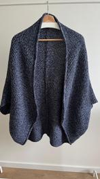 Opus omslagdoek blauw Dames mantel vest, Kleding | Dames, Ophalen of Verzenden, Zo goed als nieuw, Blauw