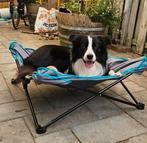 Stretcher voor middelgrote hond, Dieren en Toebehoren, Hondenmanden, Ophalen, Zo goed als nieuw