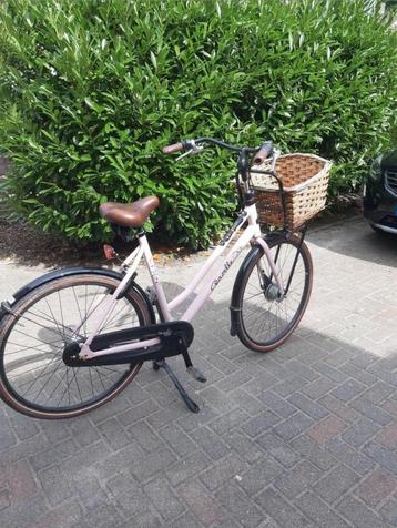 Damesfiets met 7 versnellingen, framemaat 59 beschikbaar voor biedingen
