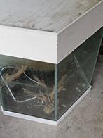 Design aquarium zeskantig van 280 liter, Ophalen of Verzenden, Zo goed als nieuw, Leeg aquarium
