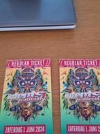 2 kaarten hardcopy zaterdag Intents 85 euro, Tickets en Kaartjes, Drie personen of meer