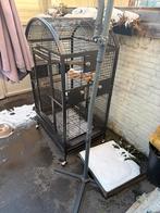 Papegaaien kooi, Dieren en Toebehoren, Ophalen of Verzenden, Zo goed als nieuw, Metaal, Vogelkooi