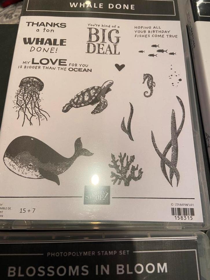 Stampin up etc stempels, Hobby en Vrije tijd, Stempelen, Zo goed als nieuw, Clearstamp, Ophalen of Verzenden