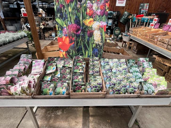 Bloembollen diverse soorten 4+1 gratis, Tuin en Terras, Bloembollen en Zaden, Bloembol, Voorjaar, Halfschaduw, Ophalen of Verzenden