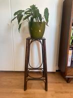 Vintage plantentafel, Ophalen of Verzenden, Zo goed als nieuw