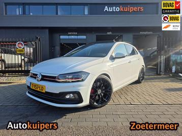 Volkswagen Polo 2.0 TSI GTI | AUTOMAAT | STAGE 1| Met o.a. d beschikbaar voor biedingen