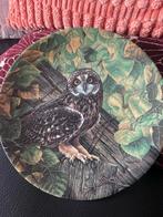 Uil Wandbord - Jim Beaudoin 1990 Limited Edition - Zeldzaam!, Antiek en Kunst, Antiek | Wandborden en Tegels, Ophalen of Verzenden