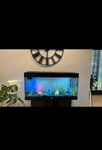 Aquarium juwel 180 liter, Dieren en Toebehoren, Vissen | Aquaria en Toebehoren, Ophalen, Gebruikt, Leeg aquarium