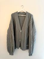TTPD Cardigan | Taylor Swift Merch | Maat XL/2XL, Kleding | Dames, Truien en Vesten, Maat 46/48 (XL) of groter, Ophalen of Verzenden