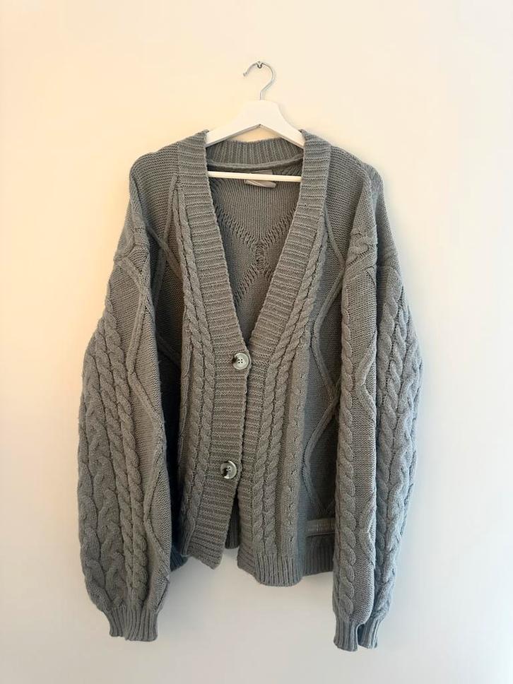 TTPD Cardigan | Taylor Swift Merch | Maat XL/2XL, Kleding | Dames, Truien en Vesten, Gedragen, Maat 46/48 (XL) of groter, Grijs