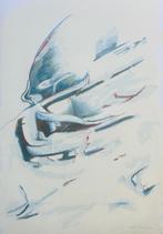 Zeefdruk Leo Musch - Ontketend, Antiek en Kunst, Kunst | Litho's en Zeefdrukken, Verzenden