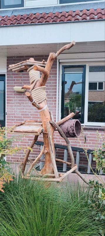 Grote krabpaal beschikbaar voor biedingen