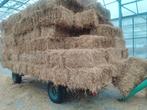 stro, Ophalen, Vee