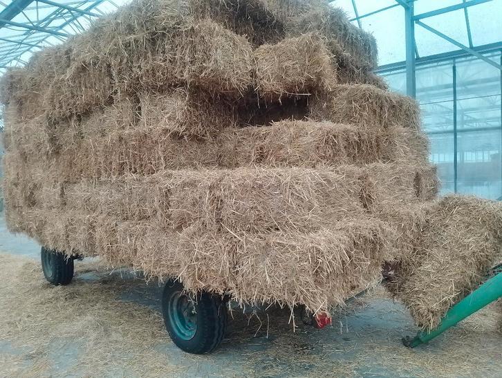 stro, Dieren en Toebehoren, Dierenvoeding, Vee, Ophalen