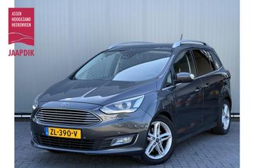Ford Grand C-Max BWJ 2018 1.0 126 PK Titanium 7p. 7-ZITS | T beschikbaar voor biedingen