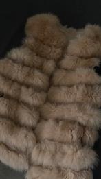 Bont gilet, Kleding | Dames, Ophalen of Verzenden, Zo goed als nieuw, Bruin