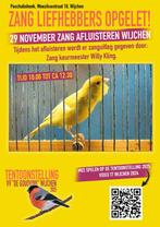 ZANG LIEFHEBBERS OPGELET!, Mannelijk, Zangkanarie