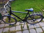 Fiets pegasus, Versnellingen, Zo goed als nieuw, 57 tot 61 cm, Ophalen