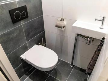 Actie Toilet renovatie van staand naar hang wc beschikbaar voor biedingen