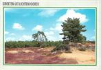 Lichtenvoorde- -Heidelandschap., Verzenden, 1980 tot heden, Gelopen, Gelderland