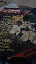 Spiegel 1967 boudewijn de Groot neger nikkertje D66 Enschede, Verzamelen, Ophalen of Verzenden, 1960 tot 1980, Tijdschrift