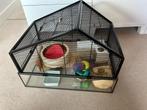 Mooie hamsterkooi met accesoires, Kooi, Minder dan 75 cm, Zo goed als nieuw, Hamster