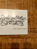 zac brouwn band, Cd's en Dvd's, Ophalen of Verzenden, Zo goed als nieuw