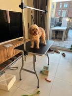 Dog Grooming Table - Foldable, Ophalen, Zo goed als nieuw