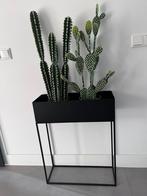 Bloembak voor binnen, Ophalen, Minder dan 30 cm, Minder dan 60 cm, Rond