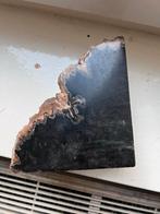 Versteend Hout - Boekensteunen, Verzamelen, Ophalen of Verzenden, Fossiel