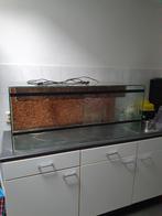 Terrarium (Baardagaam) 120 bij 50 inclusief lampen, Ophalen, Gebruikt, Terrarium of Paludarium
