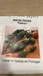 Bijzondere peper zaden padron, Ophalen of Verzenden, Volle zon